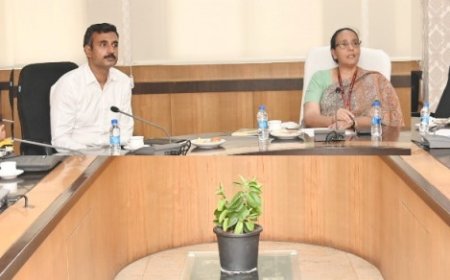 छत्तीसगढ़ विजन डॉक्यूमेंट : केन्द्रीय नीति आयोग की सलाहकार निधि छिब्बर ने ली प्रगति की जानकारी
