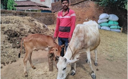 डेयरी उद्यमिता विकास योजना से सुखसागर को मिला आर्थिक स्वावलंबन