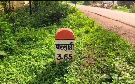 प्रधानमंत्री सड़क बनने से मिली राहत, ग्रामीणों और किसानों का आना-जाना हुआ आसान