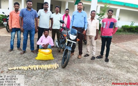 बांस करील के अवैध परिवहन पर कार्रवाई आरोपी गिरफ्तार