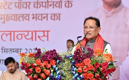 रायपुर : छत्तीसगढ़ जीरो पावर कट स्टेट से अब मुफ्त बिजली की ओर : मुख्यमंत्री श्री विष्णु देव साय