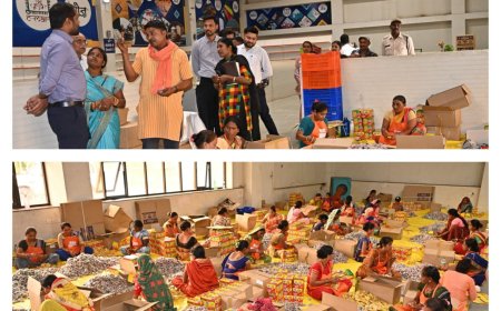 रायपुर : धमतरी से देशभर में गूंजेगी ग्रीन आतिशबाजी: 100 से अधिक महिलाओं को मिला रोजगार