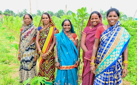 कमार दीदियों की ज़िंदगी में बिहान से जुड़कर आई खुशहाली