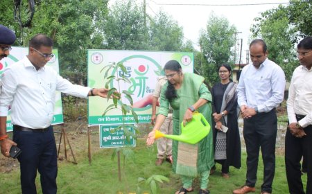 सचिव आर शंगीता ने सारंगढ़ कलेक्ट्रेट परिसर में की पौधारोपण