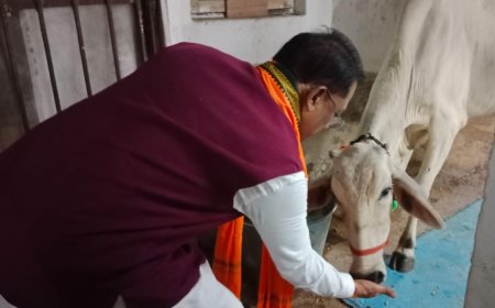 CM Sai feeds roti and jaggery to cow at CM House, prays for the welfare of people of the state