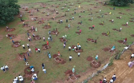 फलदार वृक्षों से बदली जिंदगी : सुरेश चन्द्र बने गांव के लिए प्रेरणा स्रोत