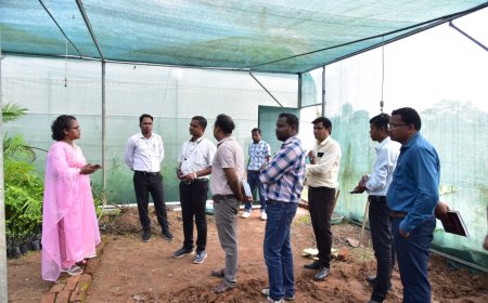 कलेक्टर ने कृषि विज्ञान केंद्र में संचालित गतिविधियों का किया अवलोकन