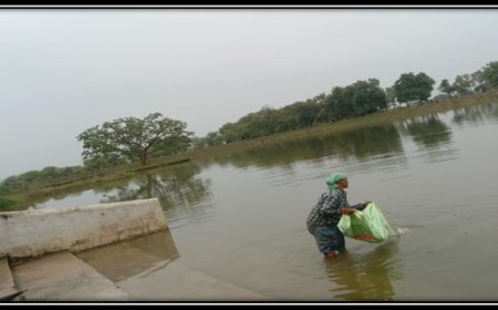 रायपुर : अमृत सरोवर से मिल रही आर्थिक उन्नति