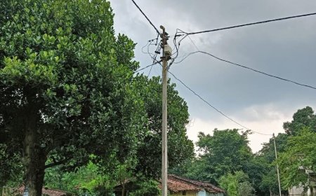 रायपुर : मुख्यमंत्री श्री विष्णुदेव साय ने दी 58 लाख की स्वीकृति, जशपुर के 13 गांवों में बिखरेगी रौशनी