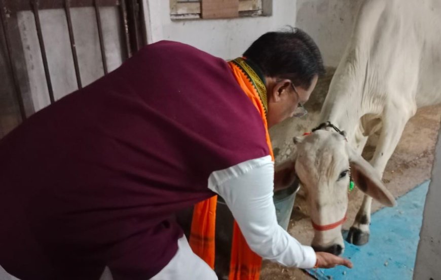 गौ-सेवा से ही मिलती है सच्ची शांति और ऊर्जा : मुख्यमंत्री श्री विष्णु देव साय