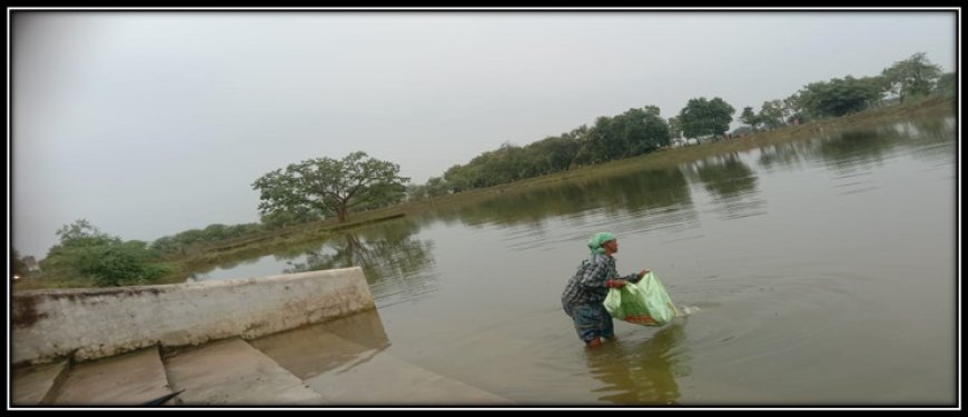 रायपुर : अमृत सरोवर से मिल रही आर्थिक उन्नति