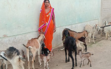महतारी वंदन योजना से बदली ज़िंदगी श्यामा बनी आत्मनिर्भरता की पहचान 