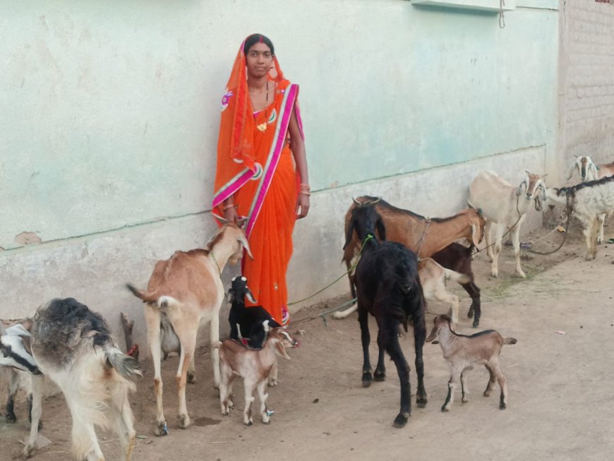 महतारी वंदन योजना से बदली ज़िंदगी श्यामा बनी आत्मनिर्भरता की पहचान 