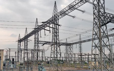 रायपुर : बस्तर में विद्युत क्रांति : 25 वर्षों में हर गांव तक पहुंची बिजली की रोशनी