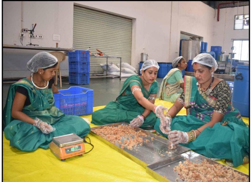 रायपुर : केन्द्रीय प्रसंस्करण इकाई जामगांव एम: रोजगार, प्रसंस्करण और ग्रामीण अर्थव्यवस्था को बड़ा सहारा